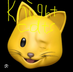 Knight CAT.S