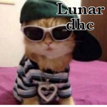 Lunar | dhc