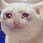 CryKid:(