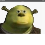 BOI SHREK IS ANGRY