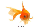 The International Fish Army