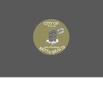 City Of Betta Beach (Unofficial)