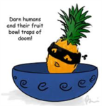 Ninja Warrior Pineapples!