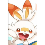 Team scorbunny