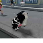 svqxbt