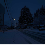 The Silent__