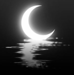 『MoonLight Studio』