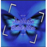 ——Aesthetic Butterflies ——