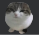 ~Kitty fan group!~