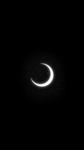 DARK Community's