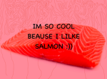 Salmon & Co