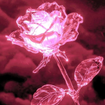 Pink c la vie