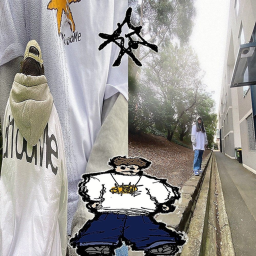 ✧｡
