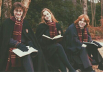 ~ | Hogwarts Fanclub | ~