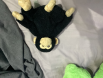 MONKEYS ONLY CLUB!!!