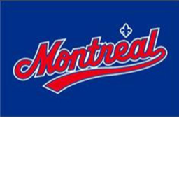 Toronto Blue Jays Stadium