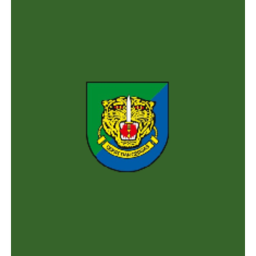 Lion Din