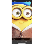 minion bases