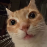 minоr