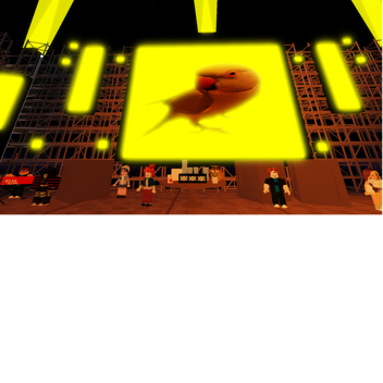 Concert's 2026