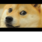 Epic doge studios