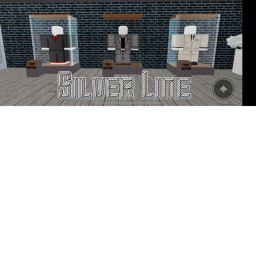 Silver Line homestore