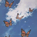 butterfliez<3