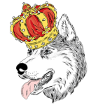 Dogking gang