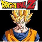 The Saiyan Group