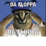 cool kidos &&)