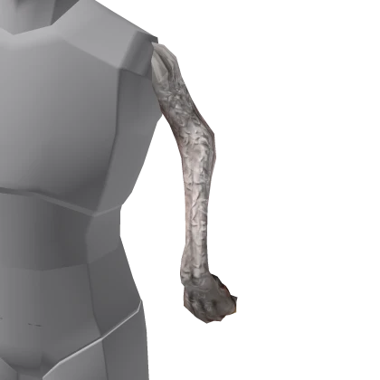 OLD Dog (Lida-Bida-Boda-But) 🐩 - Left Arm Roblox item thumbnail