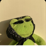 SWAGGY FROGSS
