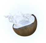 CoCoNuT_WaTeR