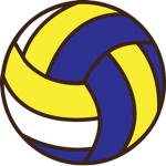 VolleyTeam