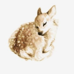 Vinxtage Fawns