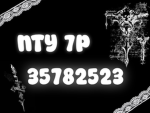 /nty 7p
