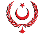 Grand Turkish Air Force