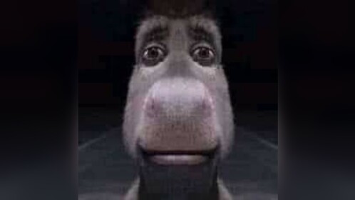 Shrek chase