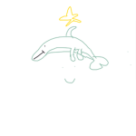 SunnyDolphin OFFICIAL