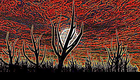 FOREST
