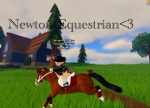 ~{Newton Equestrian}~