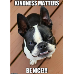 ~Positivity And Kindness Group~