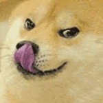 Fish gang and doge gang