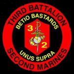 3rd Battalion, 2nd Marinesᅠᅠ