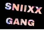 Sniixx fans