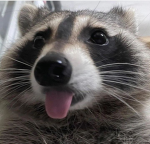 Bxbnnz