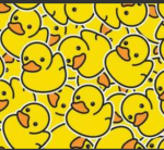 Duck duck quackers!