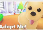 Adopt Me Fun, The Party is Never Done