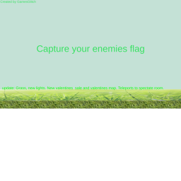 Capture your enemies flag update!