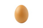 Egg group of egg
